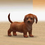 Nintendogs: Dachshund and Friends
