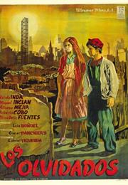 The Young and the Damned