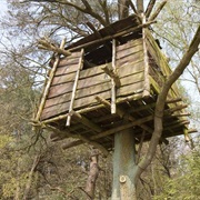 Tree House