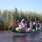 Fertő-Hanság National Park