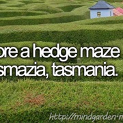 Explore a Hedge Maze in Tasmazia, Tasmania