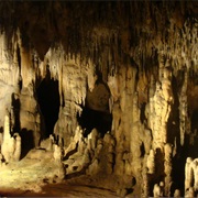 Florida Caverns State Park, Florida