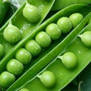 Green Peas