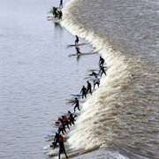 River Severn Tidal Bore, UK