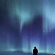 See the Northern Lights