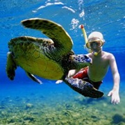 Go Snorkling in Hawaii