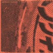 Anthony Naples - Fog FM