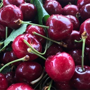 Everything Cherry-Flavoured