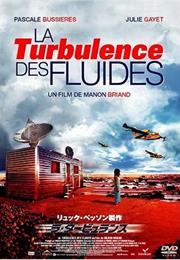 LA TURBULENCE DES FLUIDES