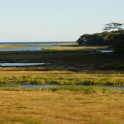 Rachel Carson National Wildlife Refuge