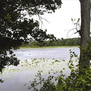 Pontiac Lake State Recreation Area, Michigan