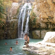 Ein Gedi Nature Reserve