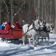 Horse Drawn Sleigh Ride