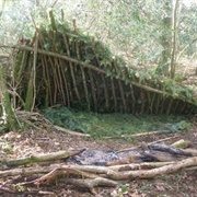 How to Build a Lean-To