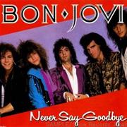 Never Say Goodbye
