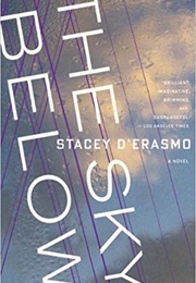 The Sky Below (Stacy D'erasmo)