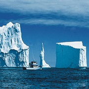 Icebergs in Newfoundland