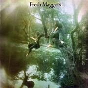 Fresh Maggots