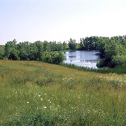 Fort Pierre National Grassland