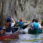 Bayou Teche Paddle Trail, Louisiana
