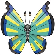 Vivillon (Savanna Pattern)