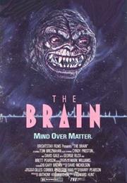 The Brain