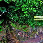 Runaway Ghaut, Montserrat