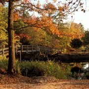 Tyler State Park, Texas