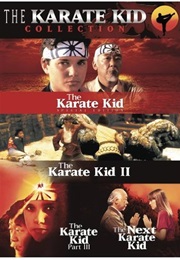 The Karate Kid (1983)