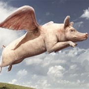Pigs Might Fly