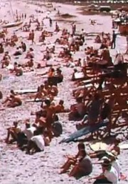 Blame It on Florida (1969)