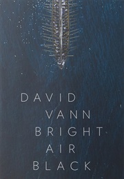 Bright Air Black (David Vann)