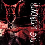 38 Counts of Battery Pig Destroyer