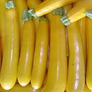 Yellow Courgette