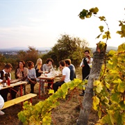 Wine Tasting in Heurigen