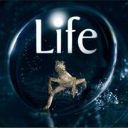 Life