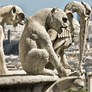 Gargoyles and Chimeras, Notre Dame, Paris