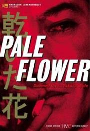 Pale Flower (Masahiro Shinoda, 1964)