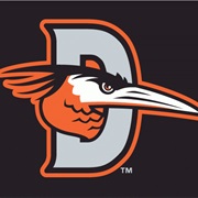 Delmarva Shorebirds (A)
