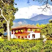 Finca Cafetera, Calarca, Quindio