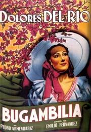 Bugambilia (Emilio Fernández)