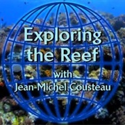 Exploring the Reef
