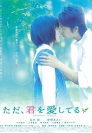 Tada, Kimi Wo Aishiteru (2006)