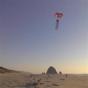 Fly a Kite on the Beach