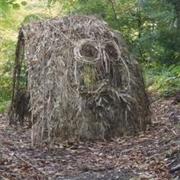 Colby Woodland Gardens