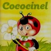 Cococinel