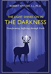 The Light Shines on in the Darkness (Fr. Robert Spitzer, S.J.)