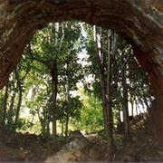 Undara Volcanic National Park (QLD)