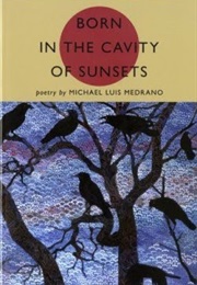 Born in the Cavity of Sunsets (Michael Luis Medrano)