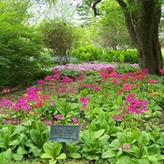Berkshire Botanical Garden - Stockbridge, MA